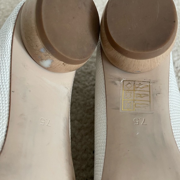 Jeffrey Campbell - Picture 8 of 9